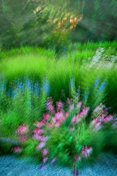 fotografie - Kdy zahrady maluj LX