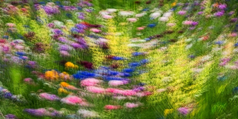 fotografie - Kdy zahrady maluj V